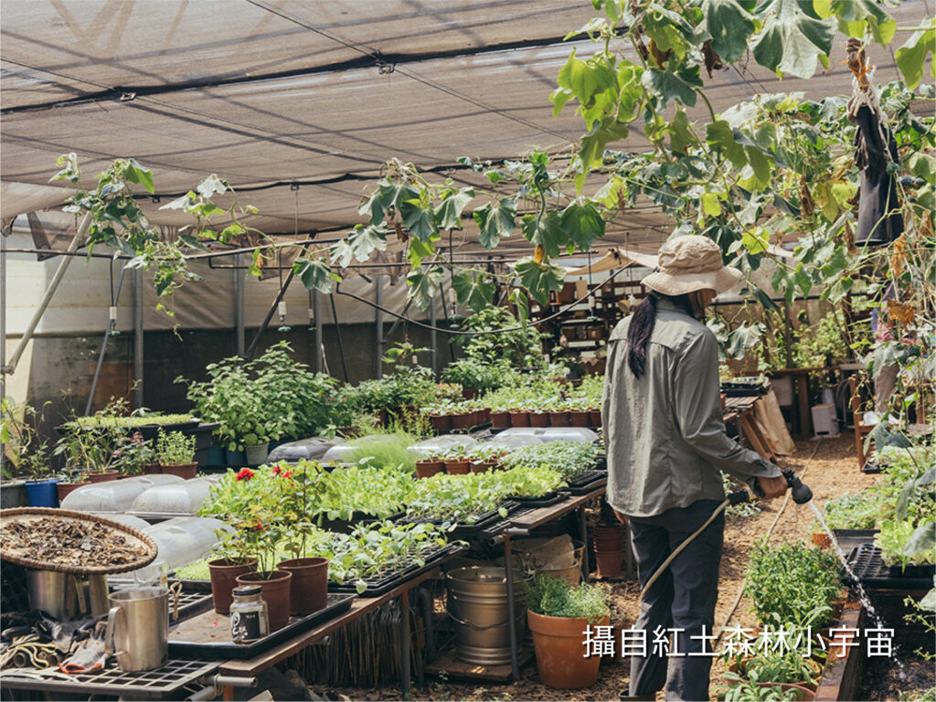 食物森林 適地適種（育苗）