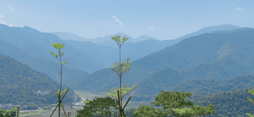 遠眺山景